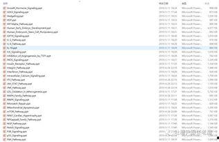 福利网址98在线观看,畅享影视盛宴的便捷门户
