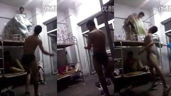 sm调教福利在线,在线福利指南揭秘