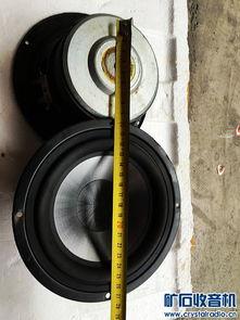 喇叭福利在线,解锁全新福利体验，畅享便捷生活新篇章