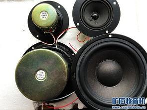 喇叭福利在线,解锁全新福利体验，畅享便捷生活新篇章